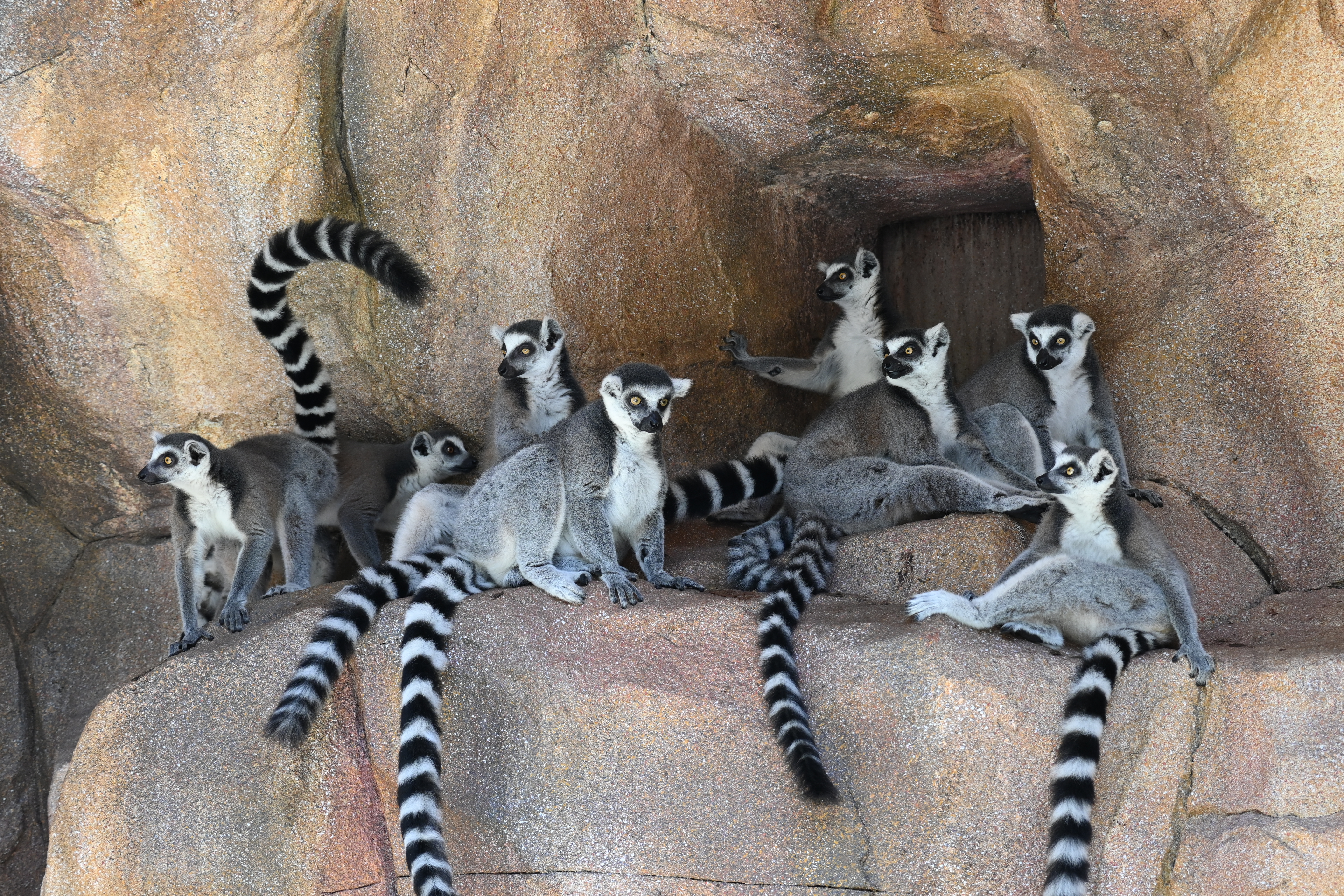 如何构建本网站